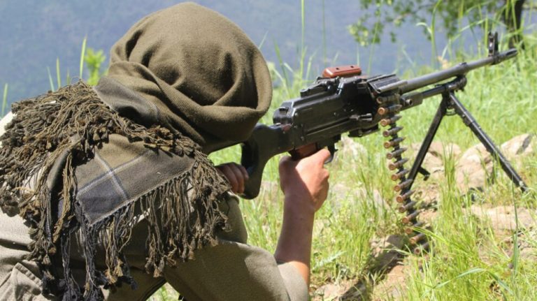 Agirî’de 5, Avaşin ve Metina’da 2 işgalci cezalandırıldı