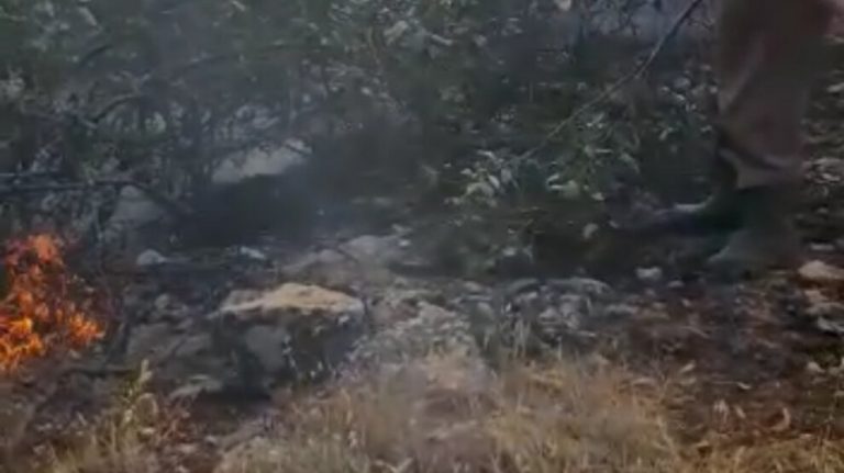 Türk ordusu ormanları ateşe verdi