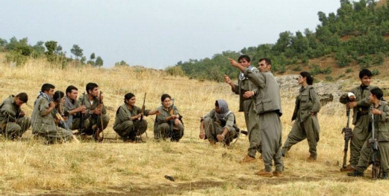 HPG: Egîdên Botanê Zafer Hamlesi çerçevesinde 10 işgalci cezalandırıldı
