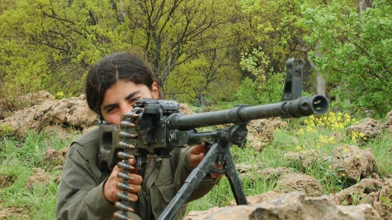 Gerillalar Colemêrg ve Zap’ta işgalcileri hedef aldı