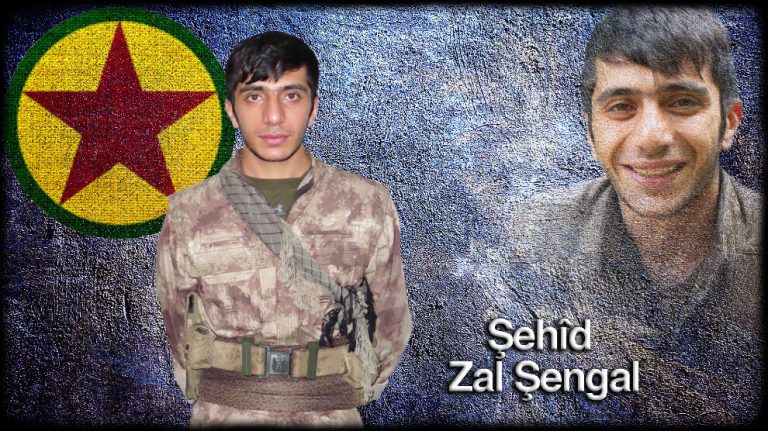 HPG: Zal Şengal fedaice savaşarak şehit düştü