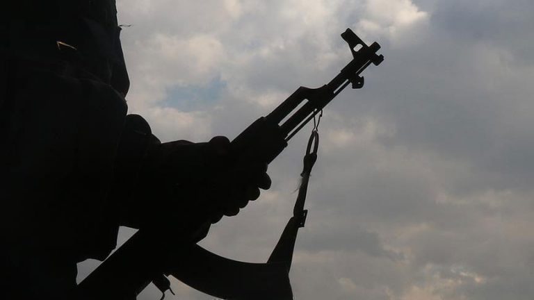Werxelê Direnişçileri: Her saldırıda bir bıçak gibi bileniyoruz