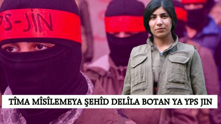 YPS’den Dersim ve Amed’de eylemler