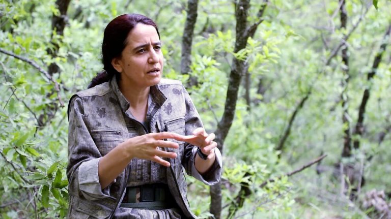 Zozan Çewlig:Önderliğe Saldırılar En Üst Aşamada