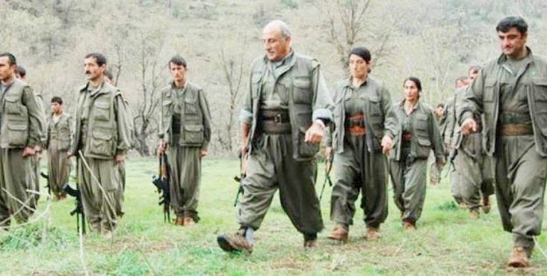 ‘Demokratik Ortadoğu Özgür Kurdistan’ çözümü…