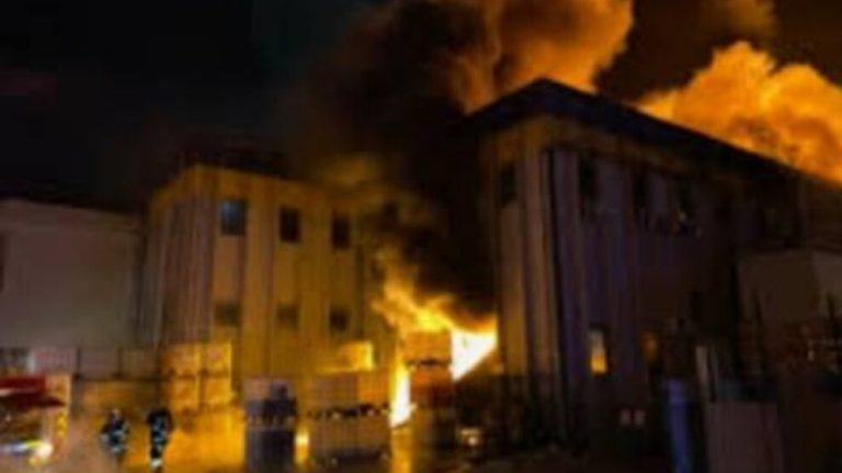 Jinen Tîrejen Roje İnisiyatifi’nden İmralı tecridine karşı eylemler