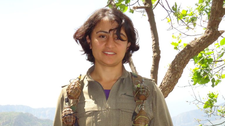 Genç yaşta öncü bir komutan: Bêrîtan