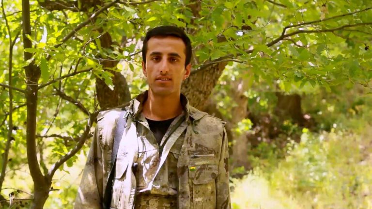 Tolhildan: Tüm savaş alanlarında yoldaşlarımız şehit Zîlan çizgisinde direniyor