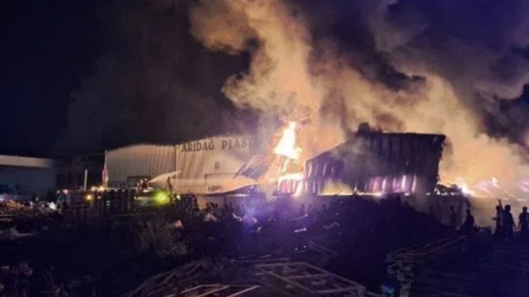 İnsiyatifa Jinên Tolhildêr’den 4 kentte eylem