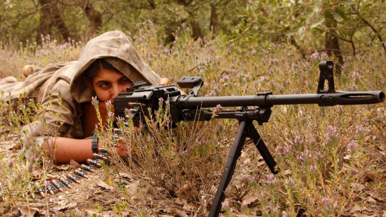 HPG: 12 işgalci cezalandırıldı, 1 mevzi ve 1 A4 silahı imha edildi