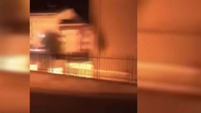  Kemal Pir Milisleri Adana’da polislere eylem düzenledi