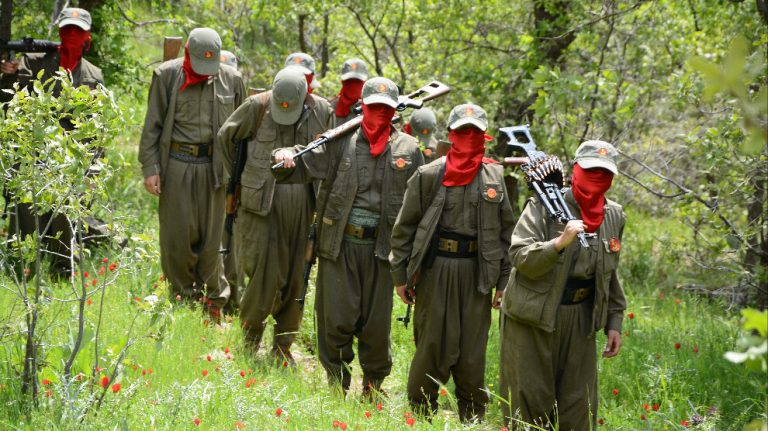 MLKP, PKK’nin 45’inci kuruluş yıl dönümünü kutladı