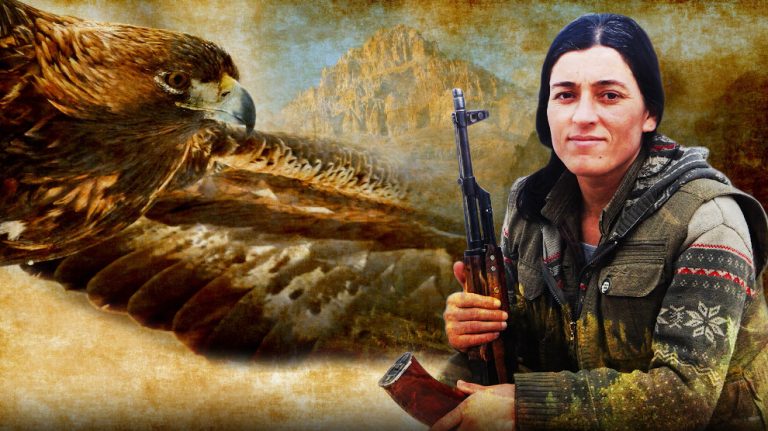 Şehîd Melsa Mûş Devrimci Operasyonu’na ait görüntüler