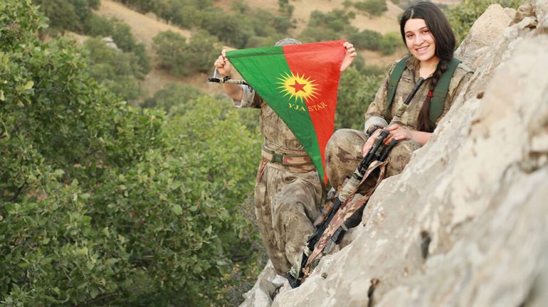 Medya Savunma Alanları’nda 3 işgalci cezalandırıldı, 3 dron düşürüldü