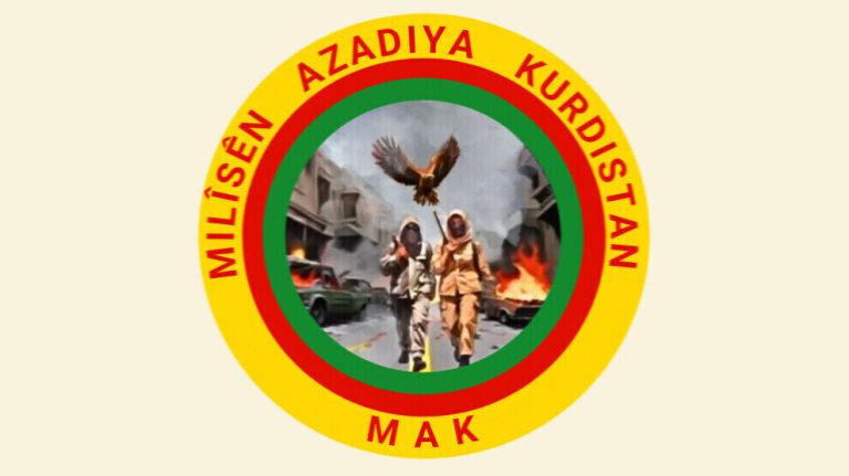 MAK Lice’de eylem gerçekleştirdi