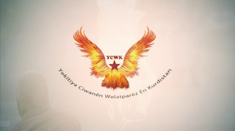 YCWK birimleri Amed’de eylem gerçekleştirdi