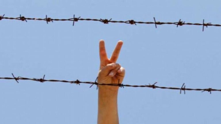 PKK ve PAJK’lı tutsaklar, PKK’nin kuruluş yıl dönümünü kutladı