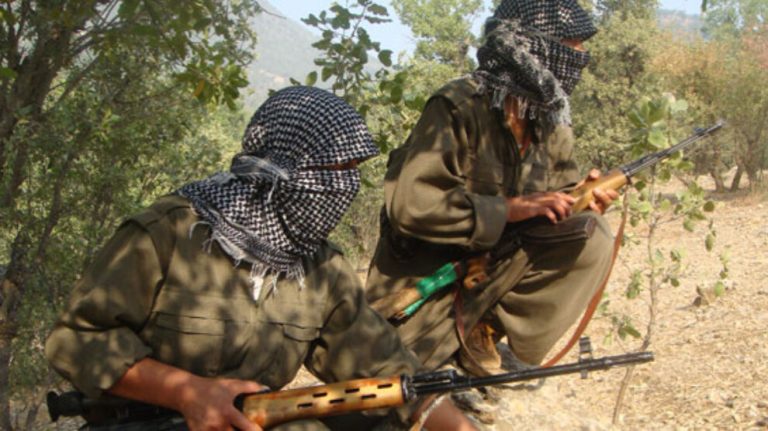 Zap’ta çok sayıda işgalci cezalandırıldı