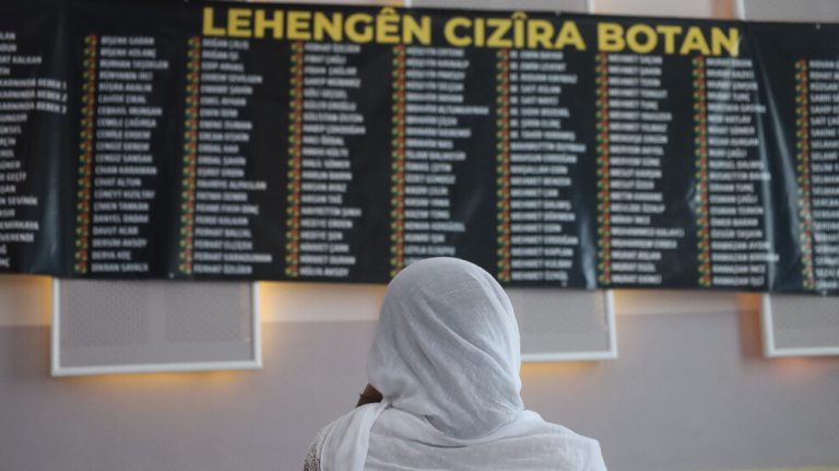 Cizîr’de 7 Şubat 2017 tarihinde katledilenler anıldı