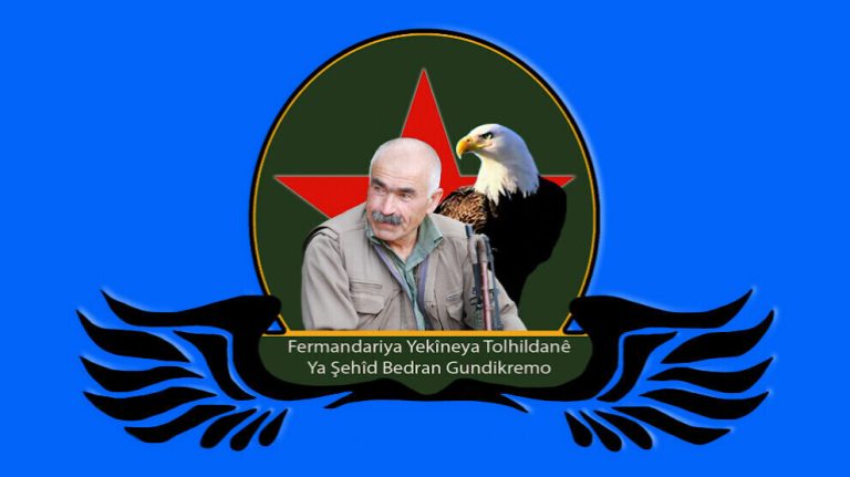 Şehit Bedran Gundikremo İntikam Birliği eylem gerçekleştirdi