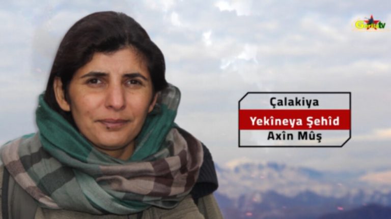 Metîna’daki eylemin görüntüsü