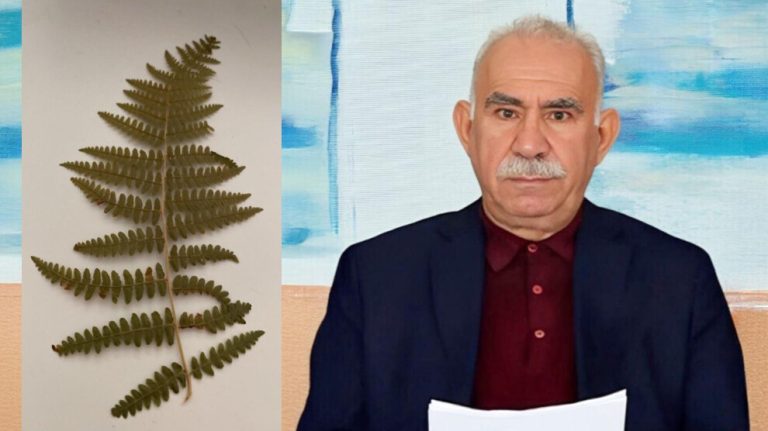 Önder Apo: Her zaman ihtiyaç duyduğunuz kadar sizinle yaşamaya ve sizinle olmaya devam edeceğim